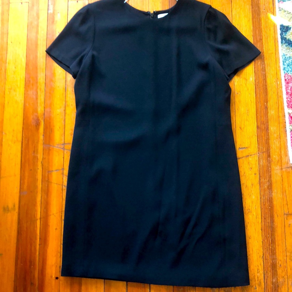 Aritzia Babaton Patricio Dress